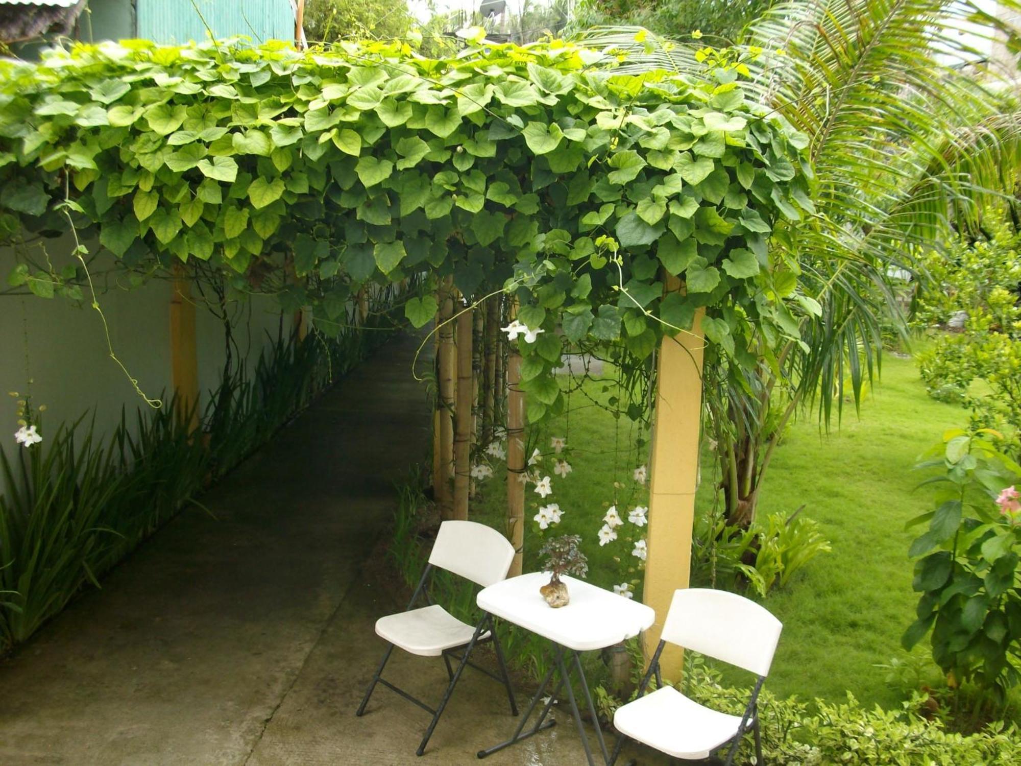 Greenyard Inn Manoc-Manoc Kültér fotó